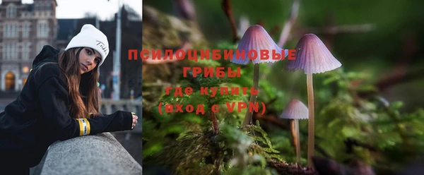 не бодяженный Алексин