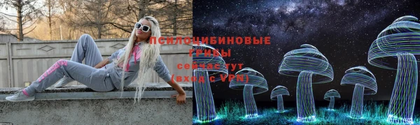 эйфоретик Алзамай
