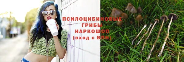 эйфоретик Алзамай