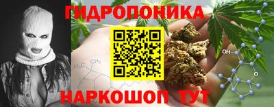 гашик Балахна