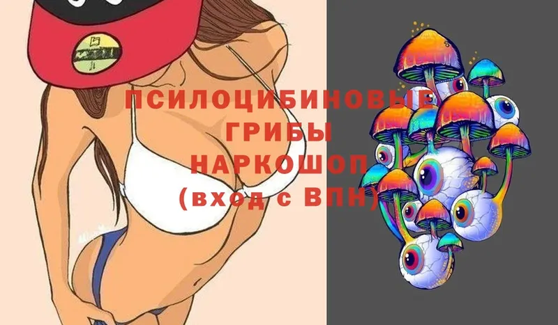 Галлюциногенные грибы Psilocybine cubensis  Лобня 