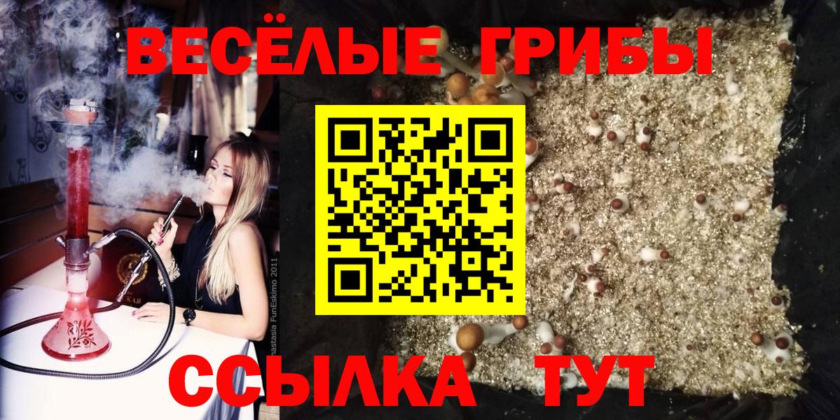 Псилоцибиновые грибы ЛСД Лобня